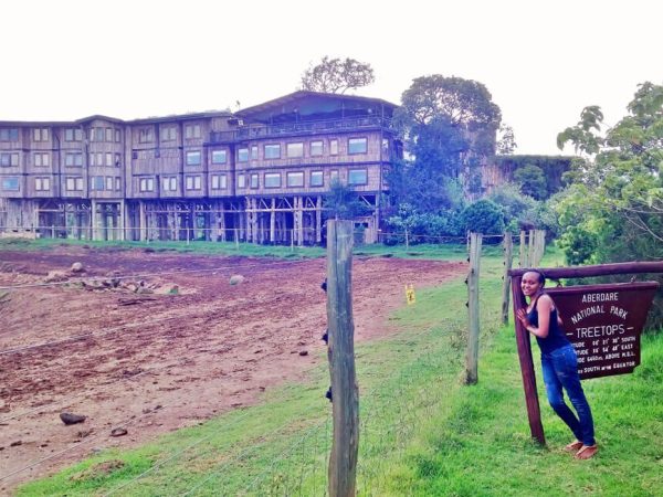 Aberdare National Park