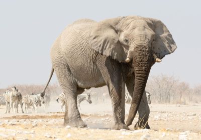 Top 10 Things to Do in Namibia Beyond Etosha National Park