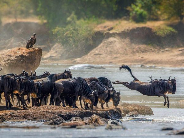 Serengeti National Park